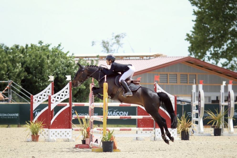 Poney d&rsquo;excellence &agrave; vendre 