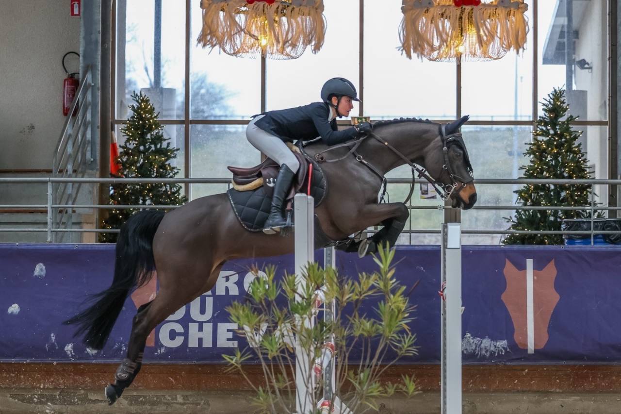 Poney d&rsquo;excellence &agrave; vendre 