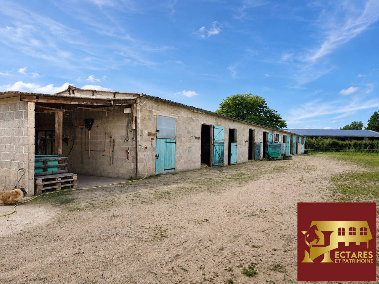Propri&eacute;t&eacute; equestre Reigny 8 pi&egrave;ce(s) 237 m2