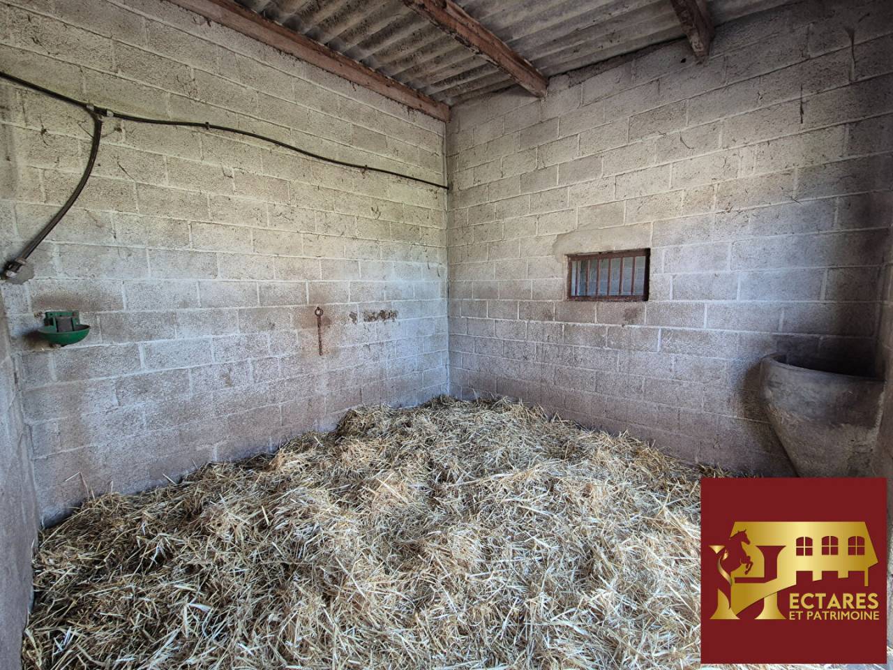 Propri&eacute;t&eacute; equestre Reigny 8 pi&egrave;ce(s) 237 m2