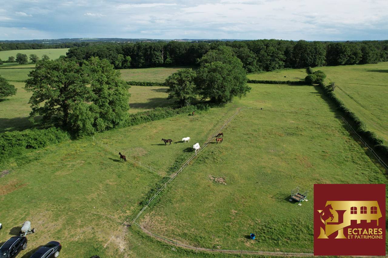 Propri&eacute;t&eacute; equestre Reigny 8 pi&egrave;ce(s) 237 m2