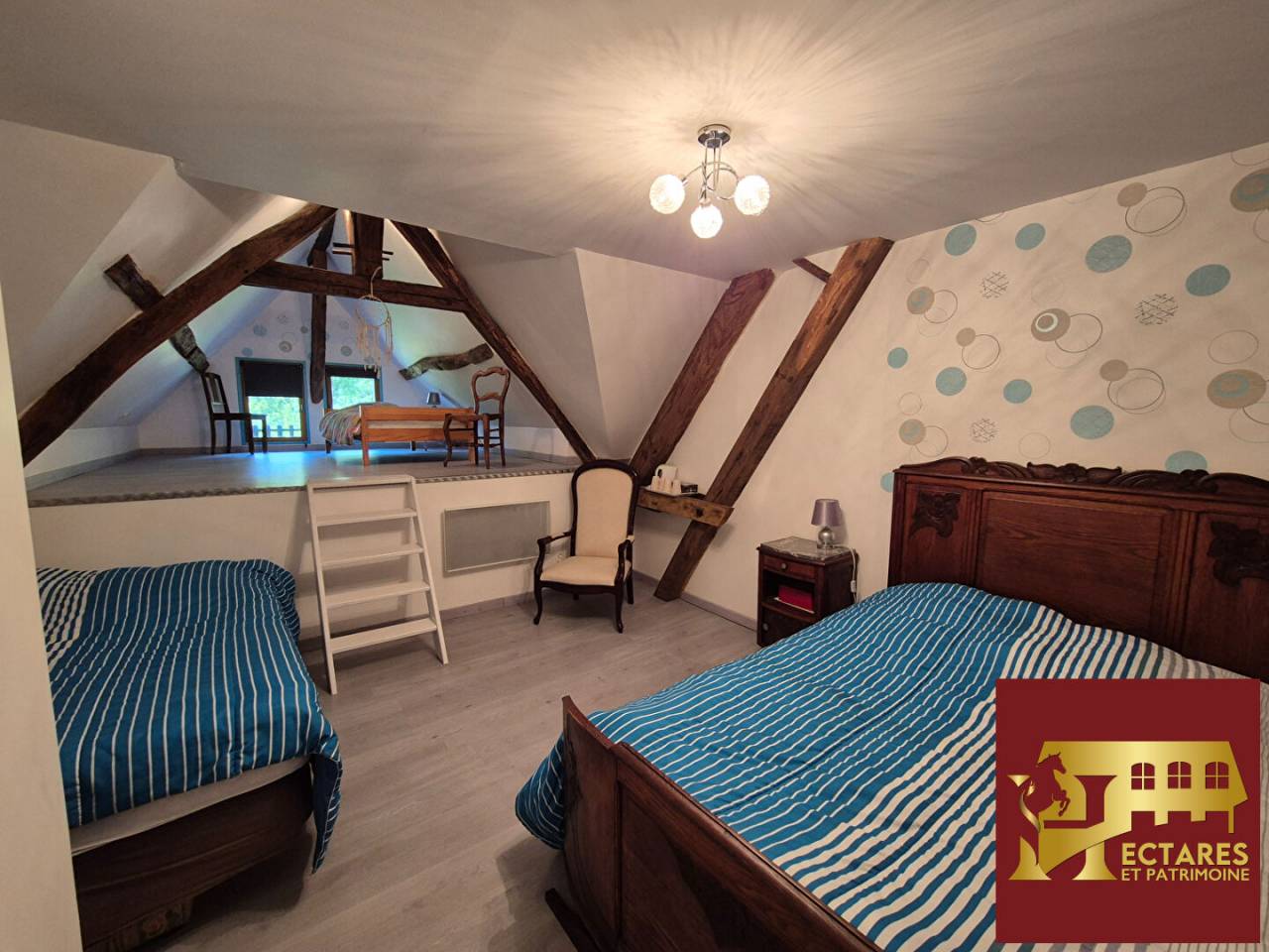 Propri&eacute;t&eacute; equestre Reigny 8 pi&egrave;ce(s) 237 m2