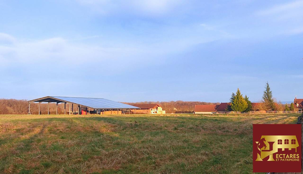 Domaine &eacute;questre + de 30 hectares