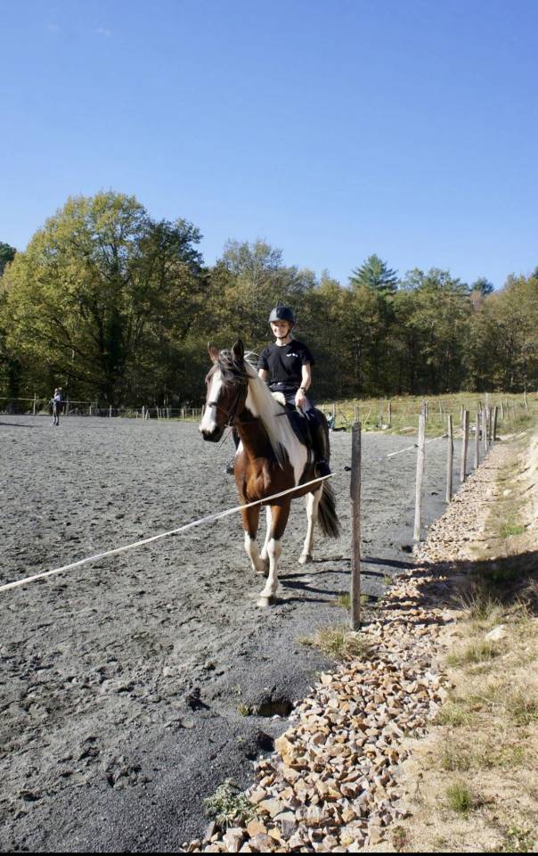 Pension Chevaux au pr&eacute; - 19320 Champagnac-la-Prune