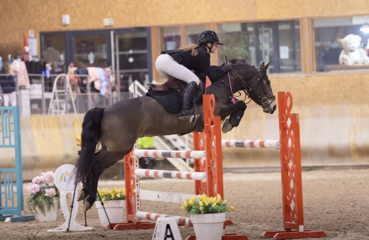 &Agrave; vendre ponette PFS taille D 9 ans - Directeur &eacute;leveur