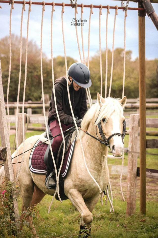 Splendide poney d&rsquo;enfant