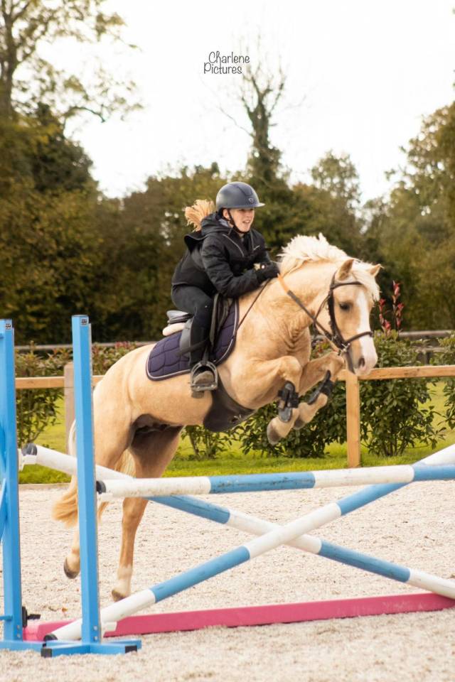 Splendide poney d&rsquo;enfant