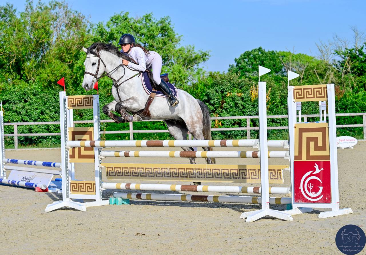 ✨ Poney D &agrave; vendre ✨