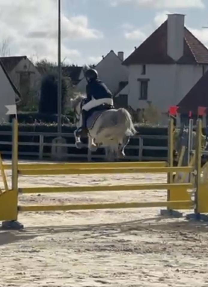 Poney C &agrave; vendre 