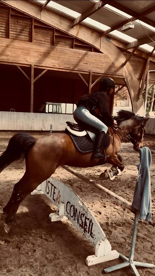 Cavali&egrave;re Galop 5/6 propose aide pour travail de chevau