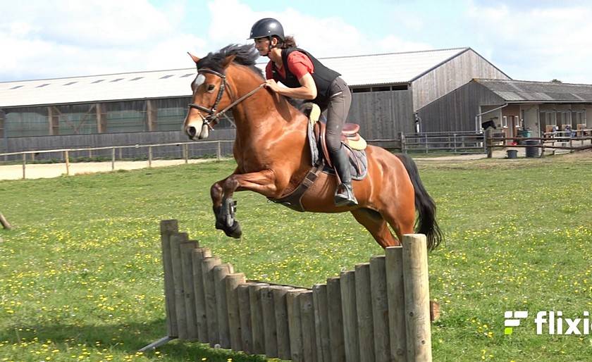 Adorable ponette pour As CCE / CSO