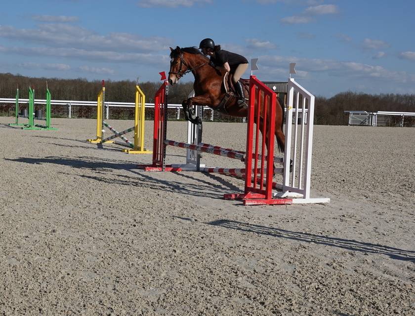 Adorable ponette pour As CCE / CSO