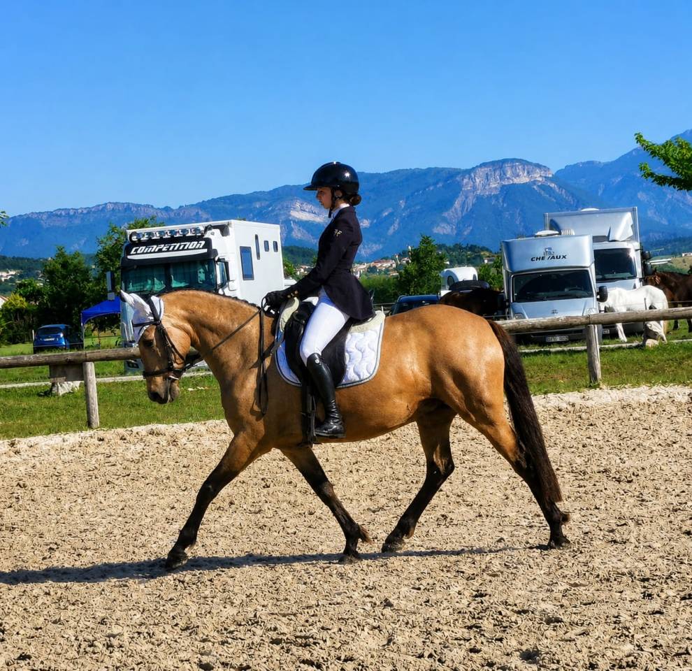 Ponette - 8 ans - Dressage / Id&eacute;ale enfant - France