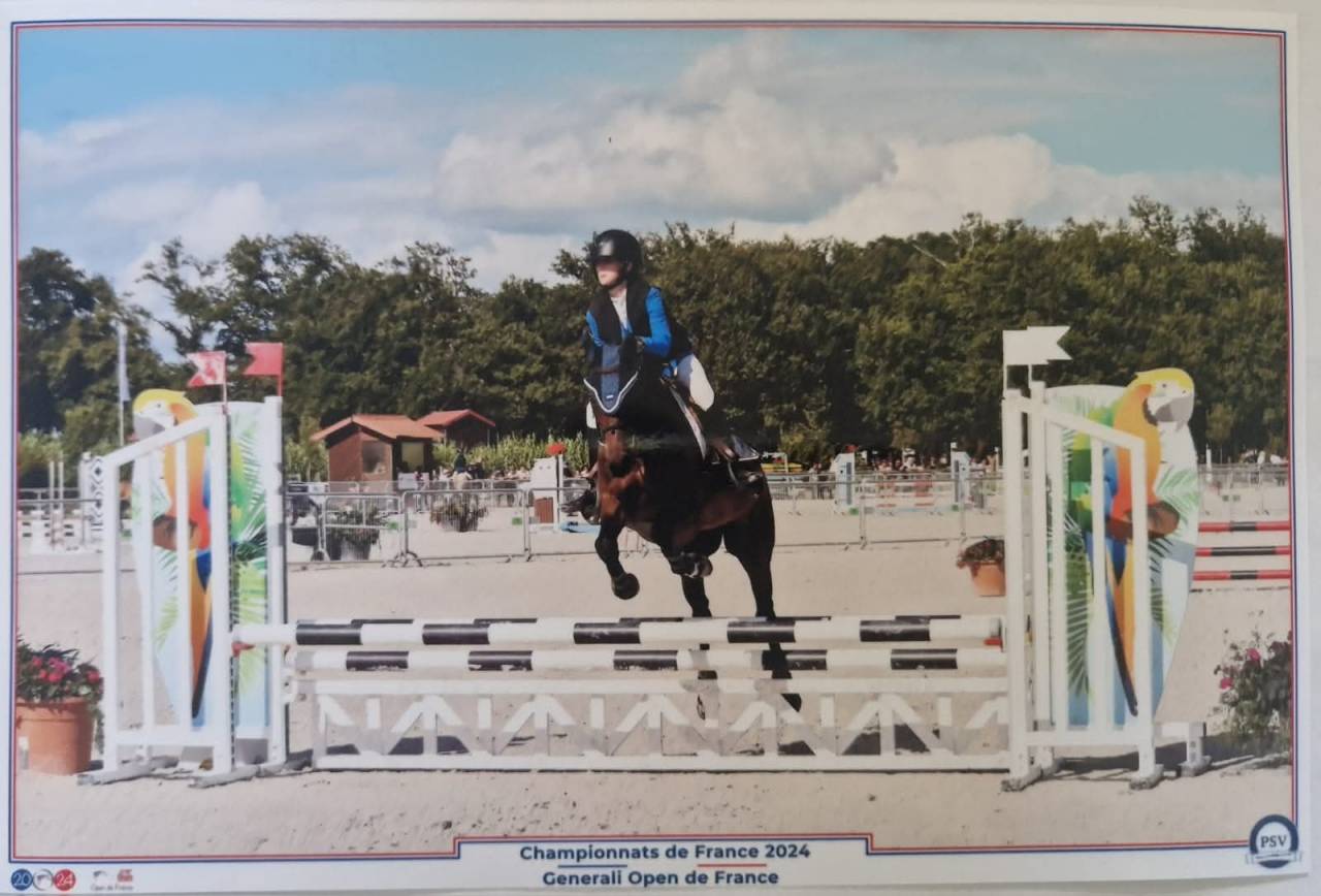 A louer Poney D de sport maitre d&rsquo; &eacute;cole