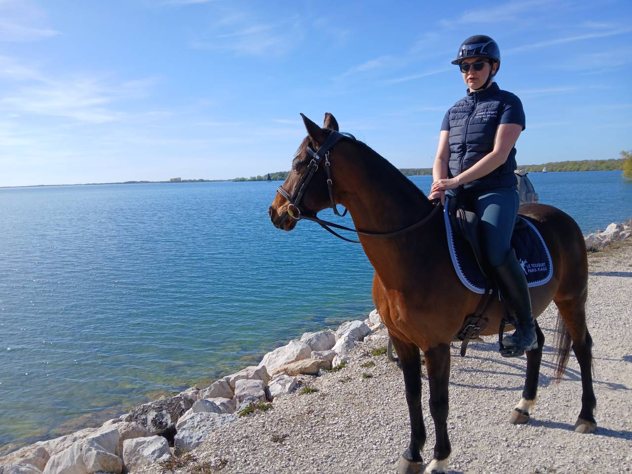 A louer Poney D de sport maitre d&rsquo; &eacute;cole