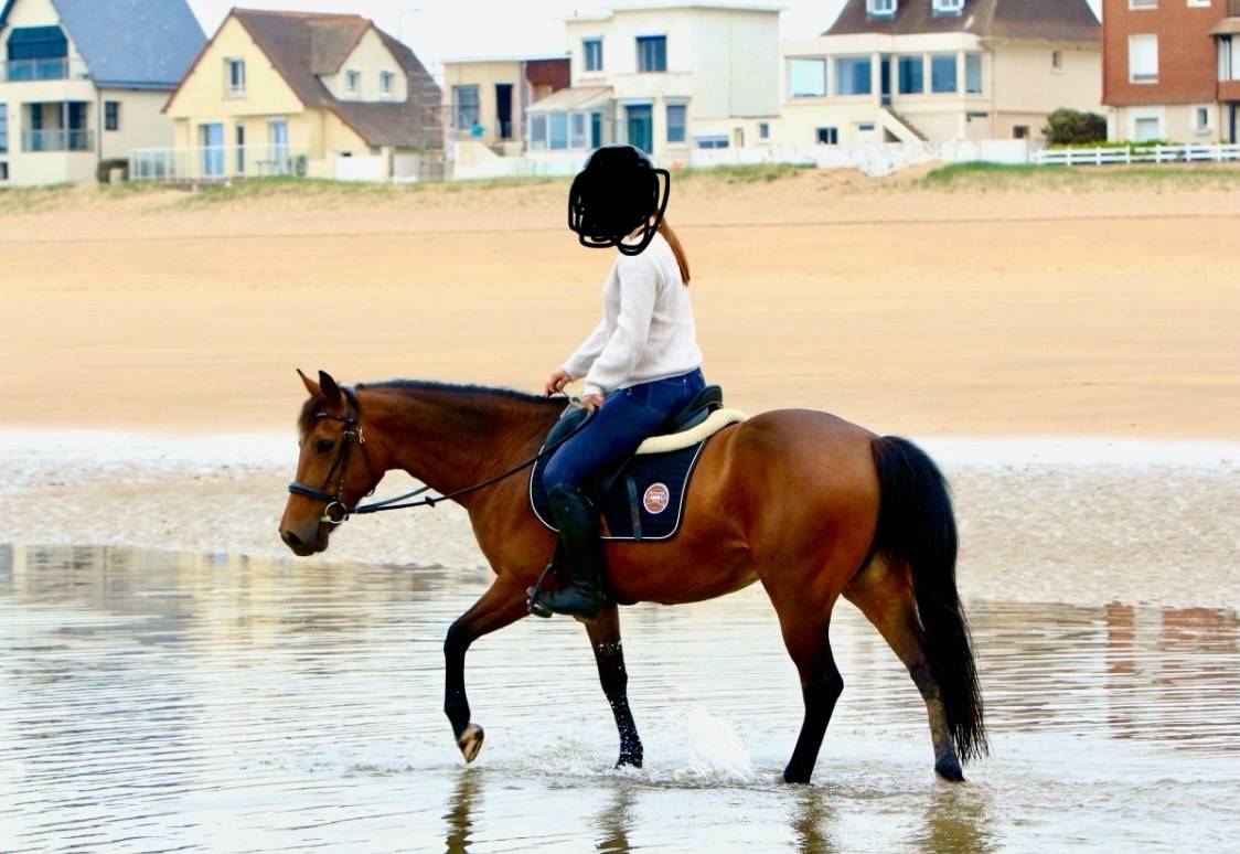 Ponette