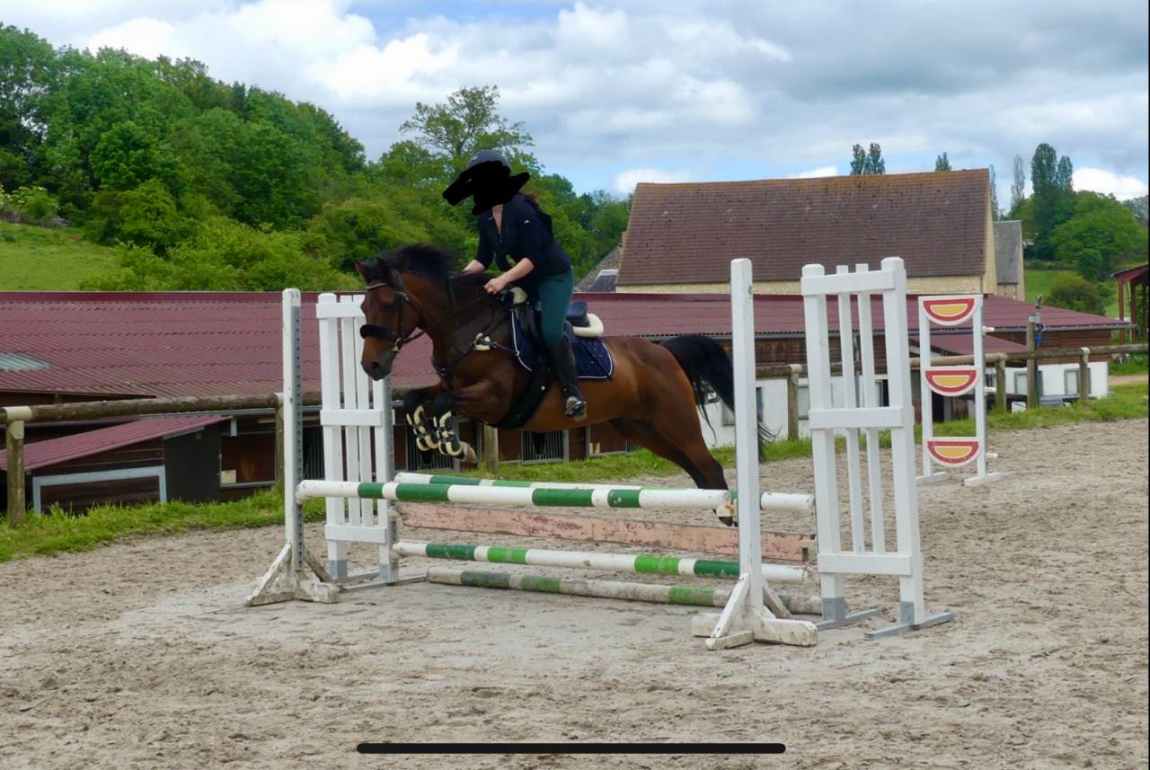 Ponette