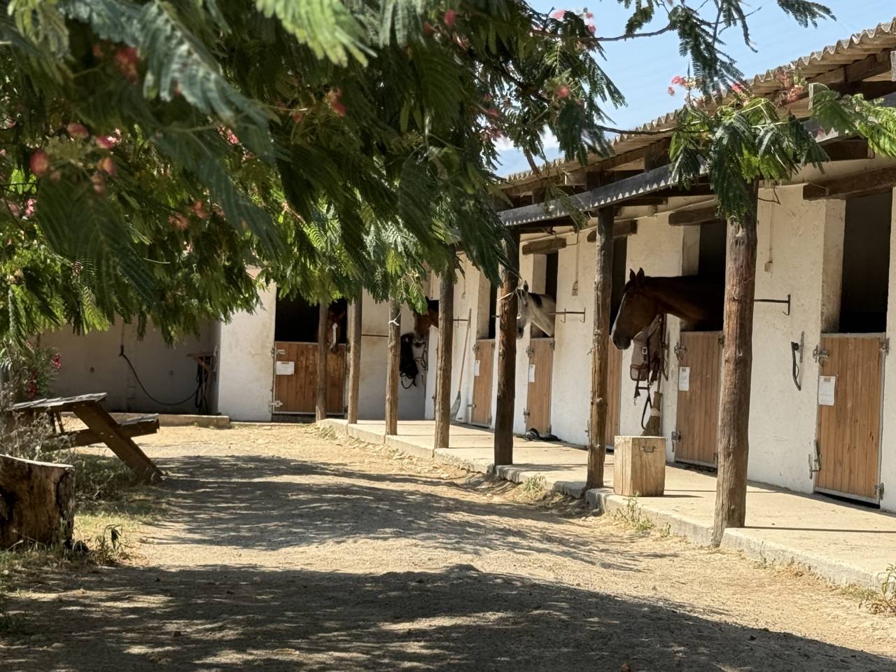 &Agrave; vendre - Fond de commerce 
