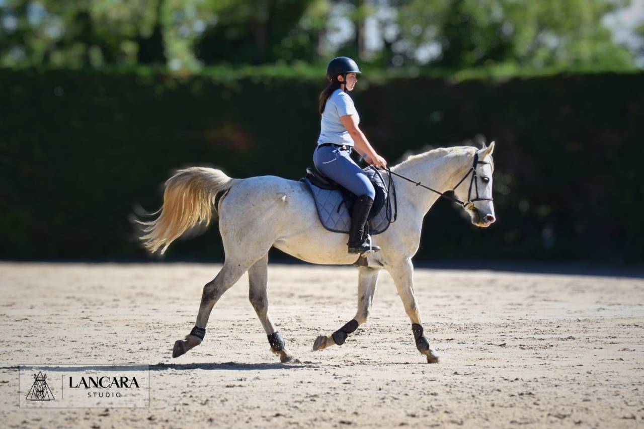 Pur sang arable 11 ans &agrave; vendre