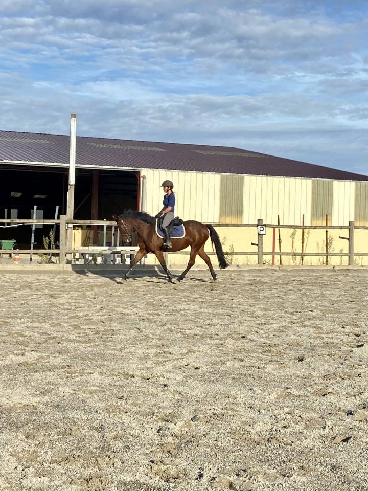 Ponette 11 ans pour d&eacute;marrer les concours