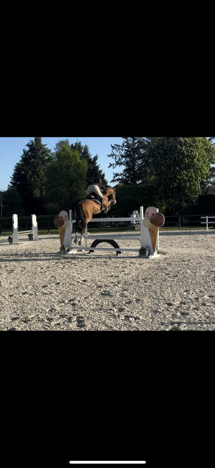 &Eacute;talon &agrave; vendre - 15 ans B.W.P