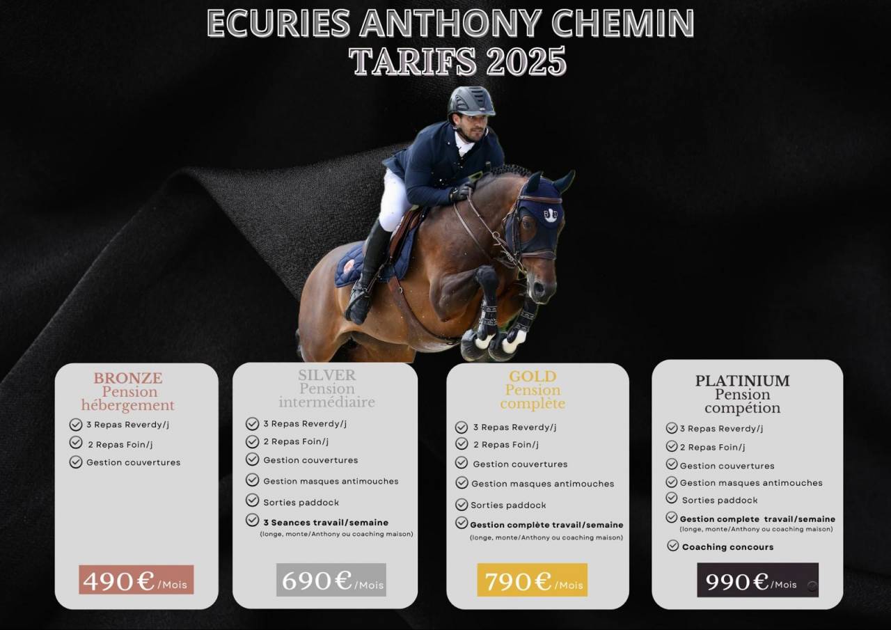 Pension chevaux formation / comp&eacute;tition 