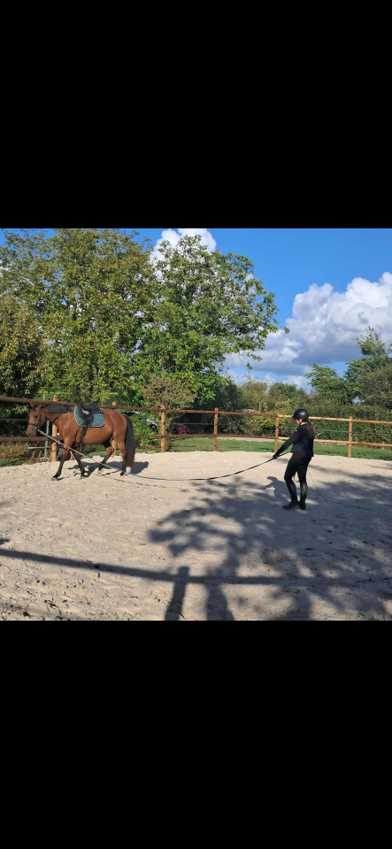 Trotteur Fran&ccedil;ais 9 ans