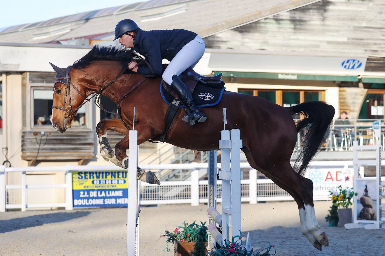 6 ans hongre Grandorado Tn x Bamboula de muze 