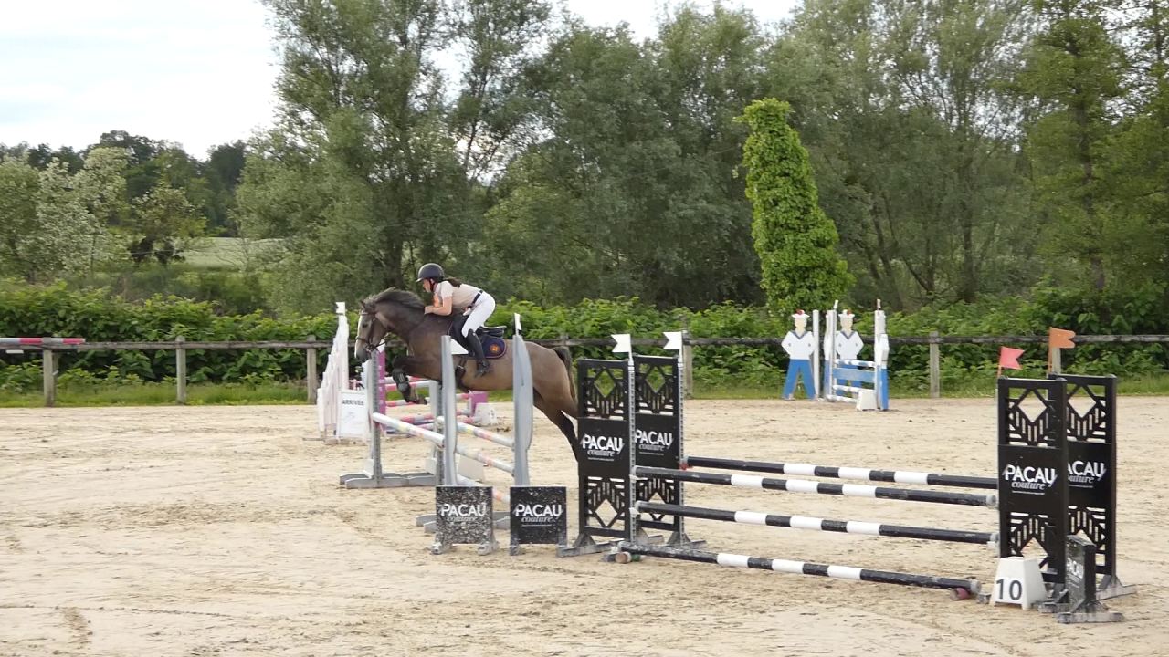 Welsh part-Bred 4 ans