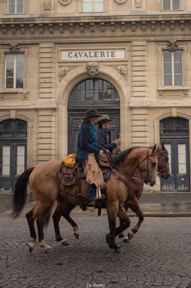 Hongre Paint horse 10 ans
