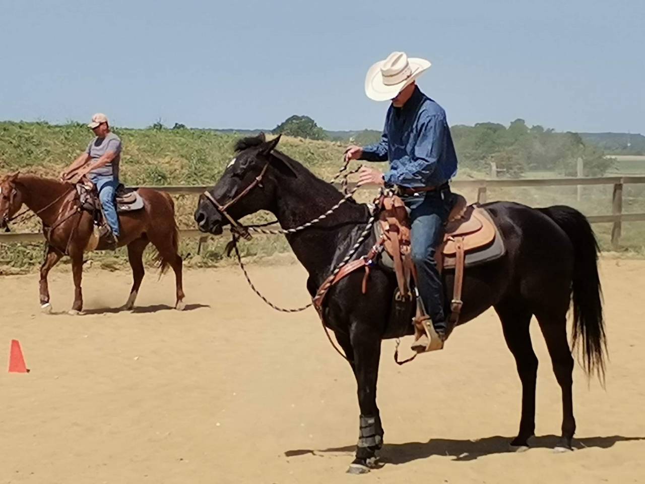 Jument quarter horse