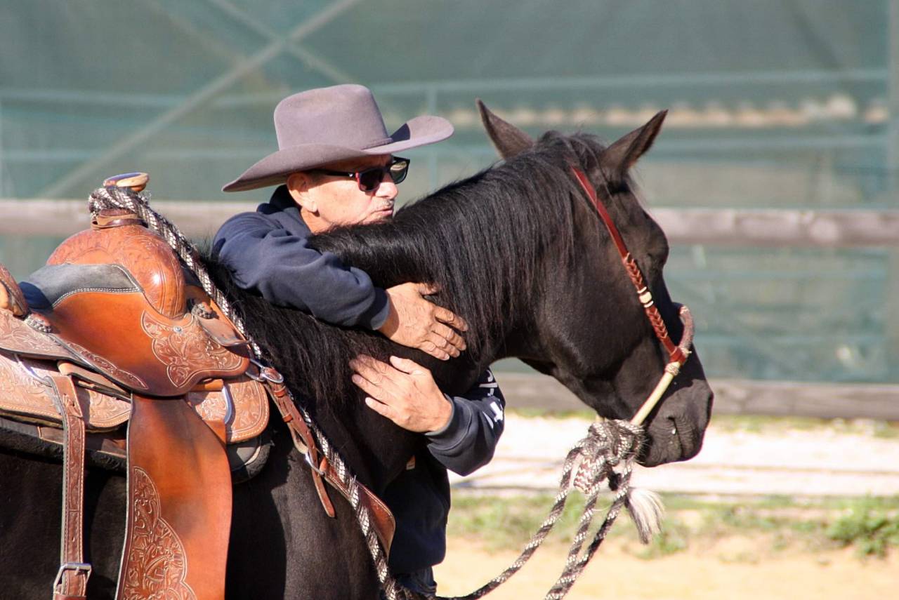 Jument quarter horse