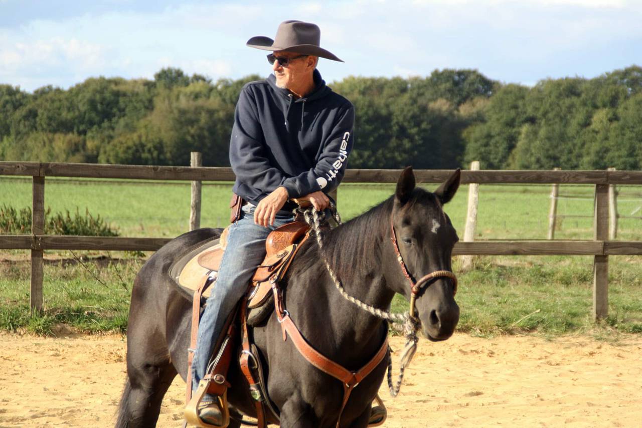 Jument quarter horse
