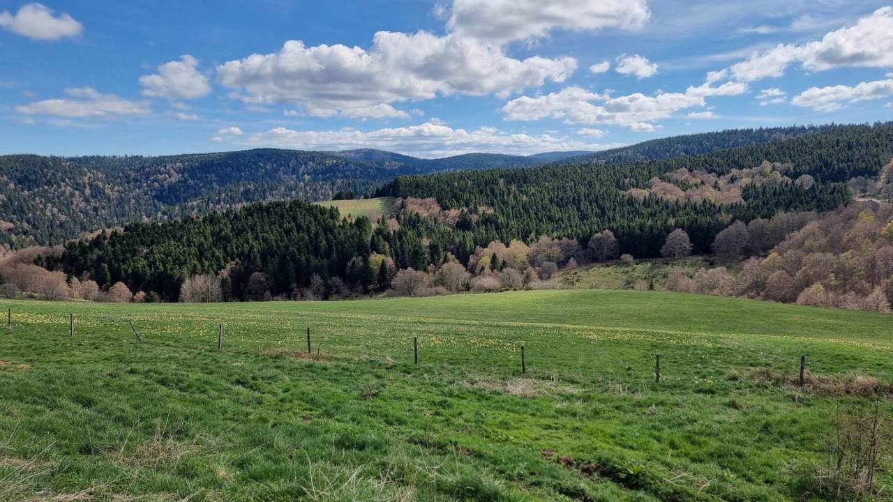 1004183_1785637894_8103.jpg