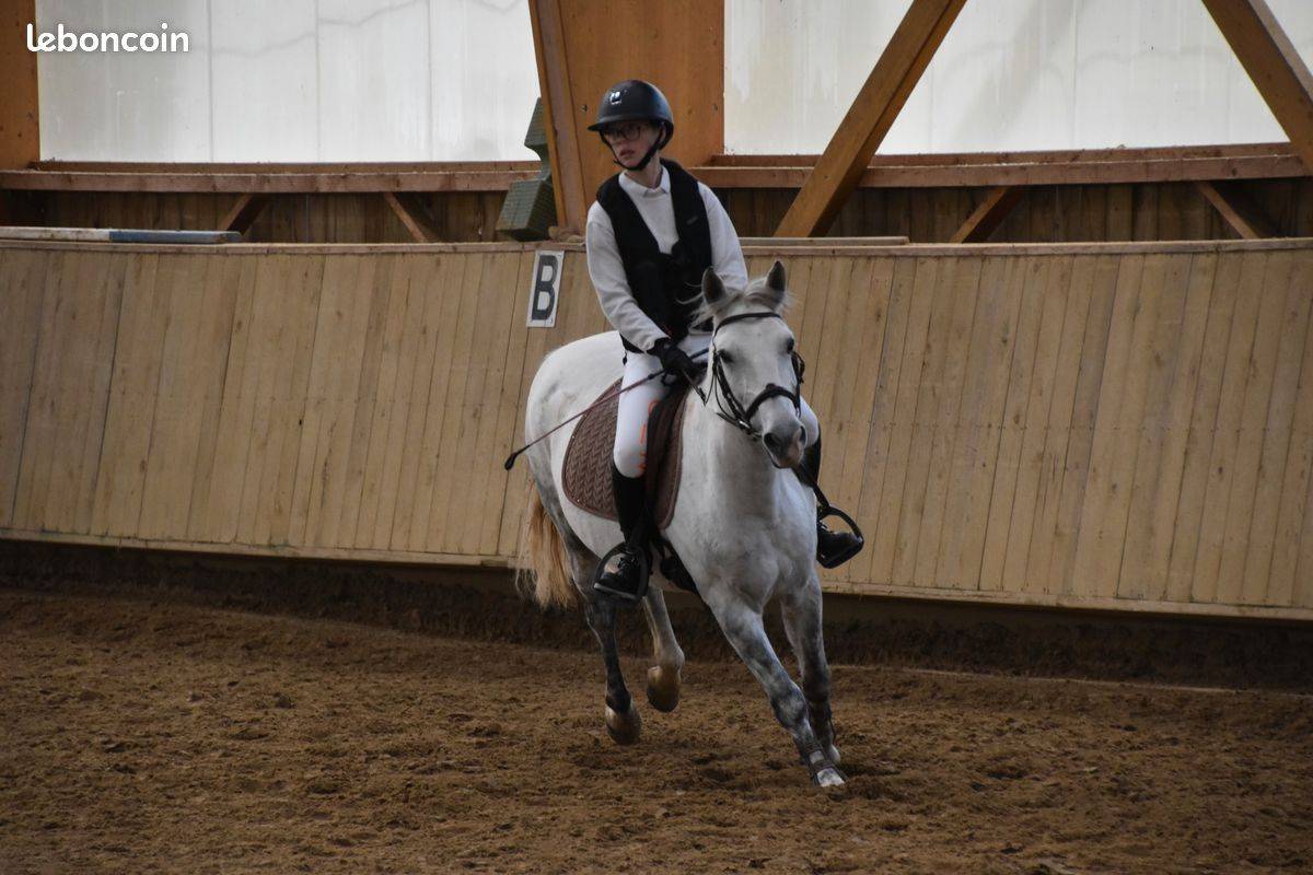 Poney C - ONC