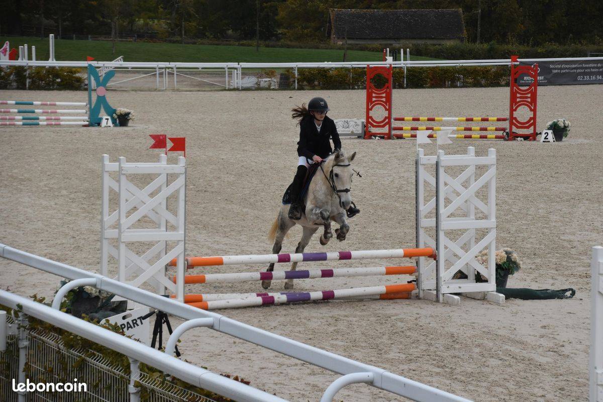 Poney C - ONC