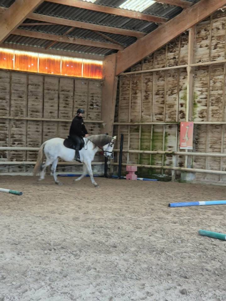 Jument ONC typ&eacute;e Espagnole 9 ans 