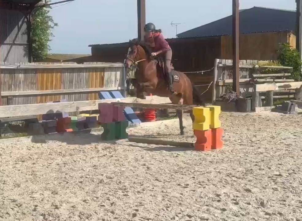 Top ponette CSO 4 ans