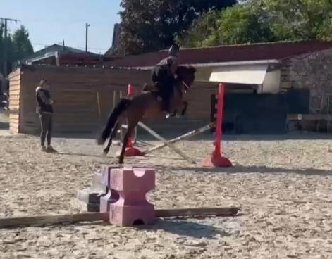 Top ponette CSO 4 ans