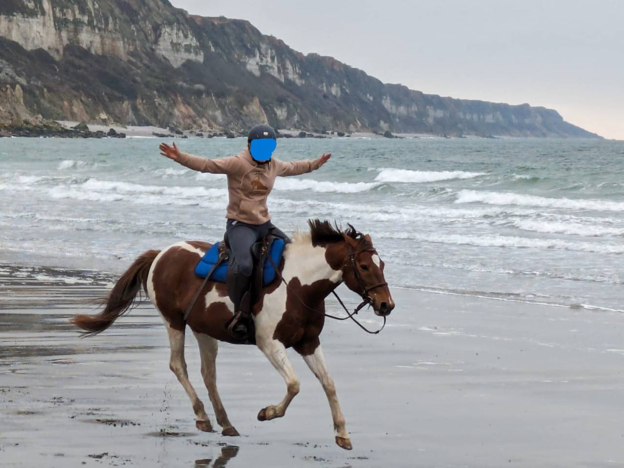 Magnifique cheval OC hongre pie de 12 ans pour loisir