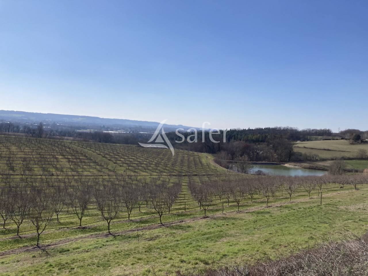 25ha de terres avec lac d'irrigation dont 5ha d'amandiers