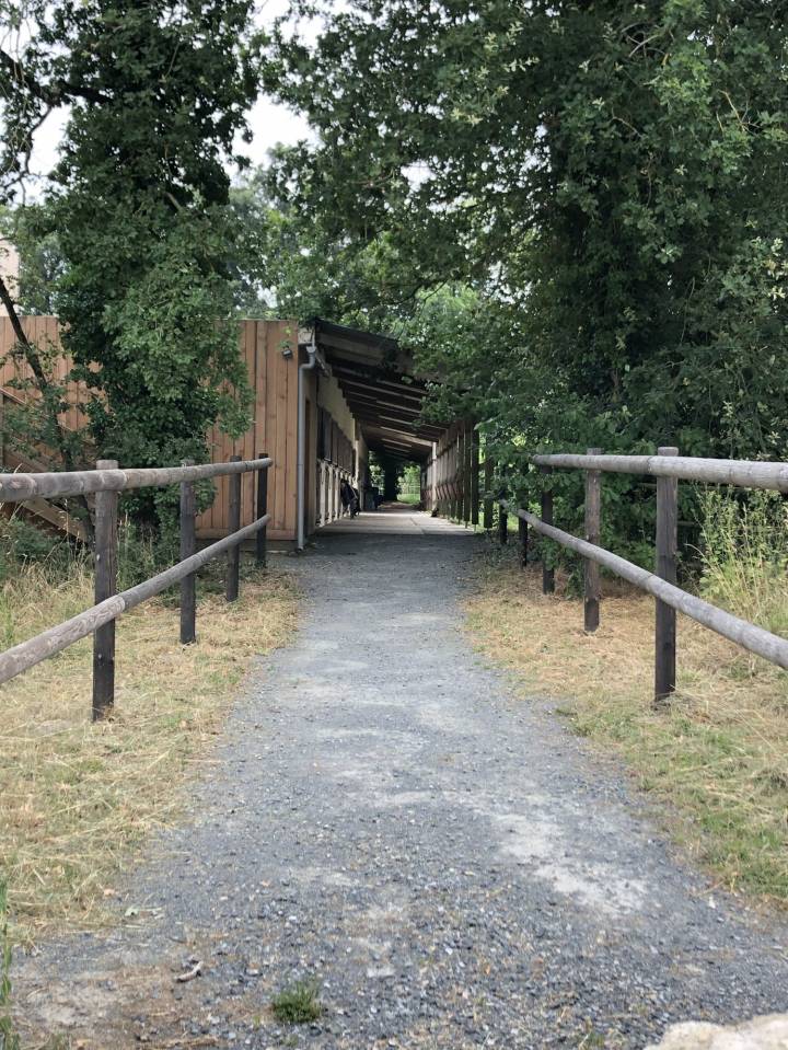 Situ&eacute;e dans le Maine-et-Loire (49), &agrave; proximit&eacute; de Saumur, ce