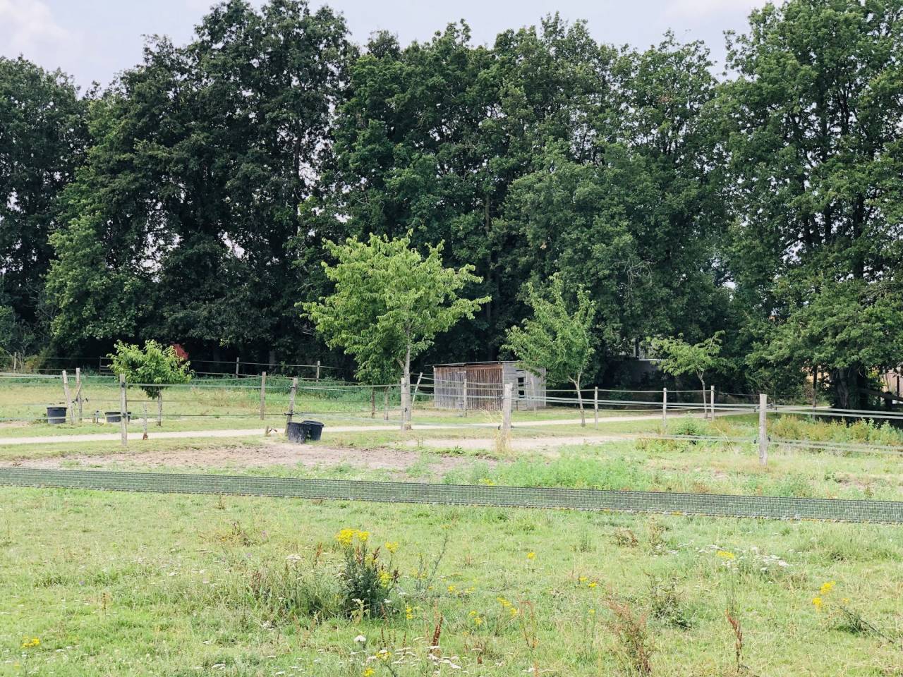 Situ&eacute;e dans le Maine-et-Loire (49), &agrave; proximit&eacute; de Saumur, ce