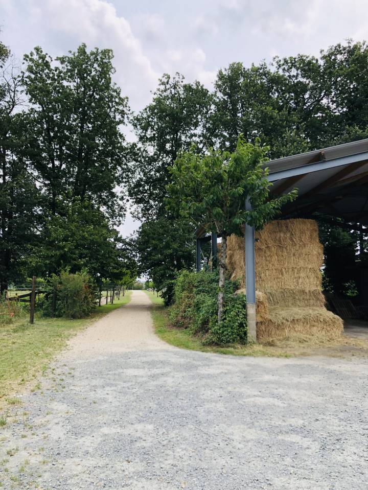 Situ&eacute;e dans le Maine-et-Loire (49), &agrave; proximit&eacute; de Saumur, ce