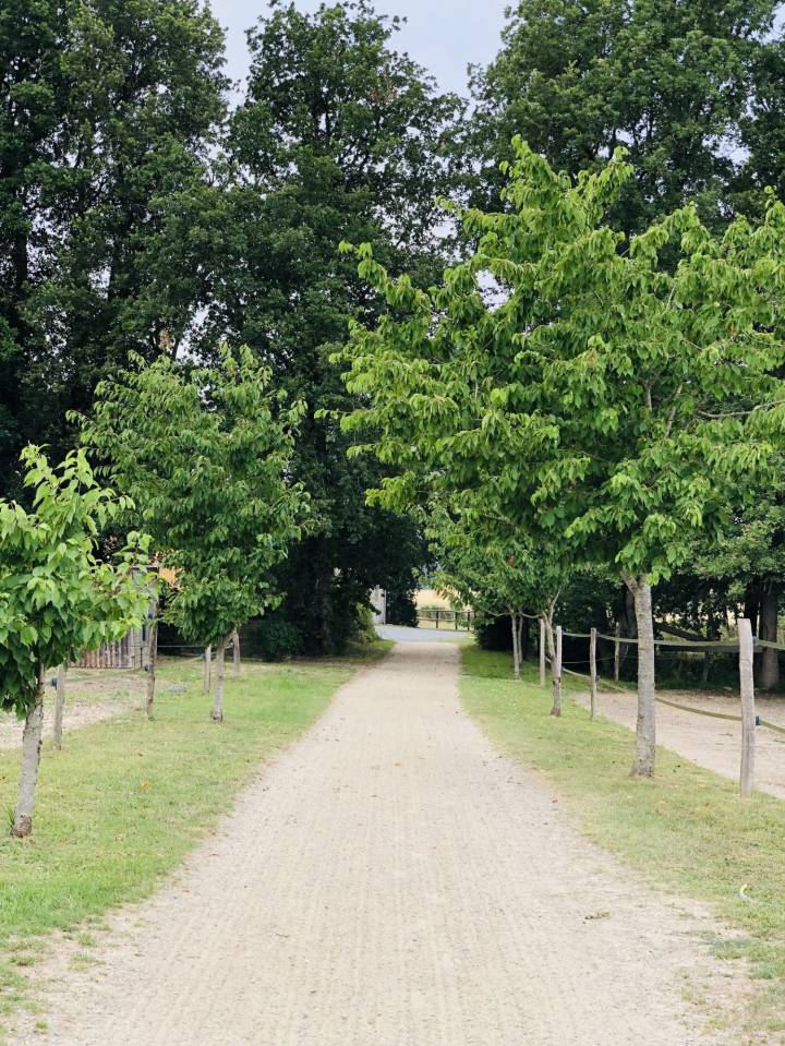 Situ&eacute;e dans le Maine-et-Loire (49), &agrave; proximit&eacute; de Saumur, ce