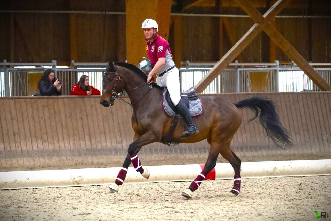 Cheval 
