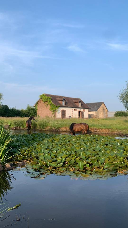 Propri&eacute;t&eacute; avec 2 Maisons &eacute;curies  piscine 7,5 hectares