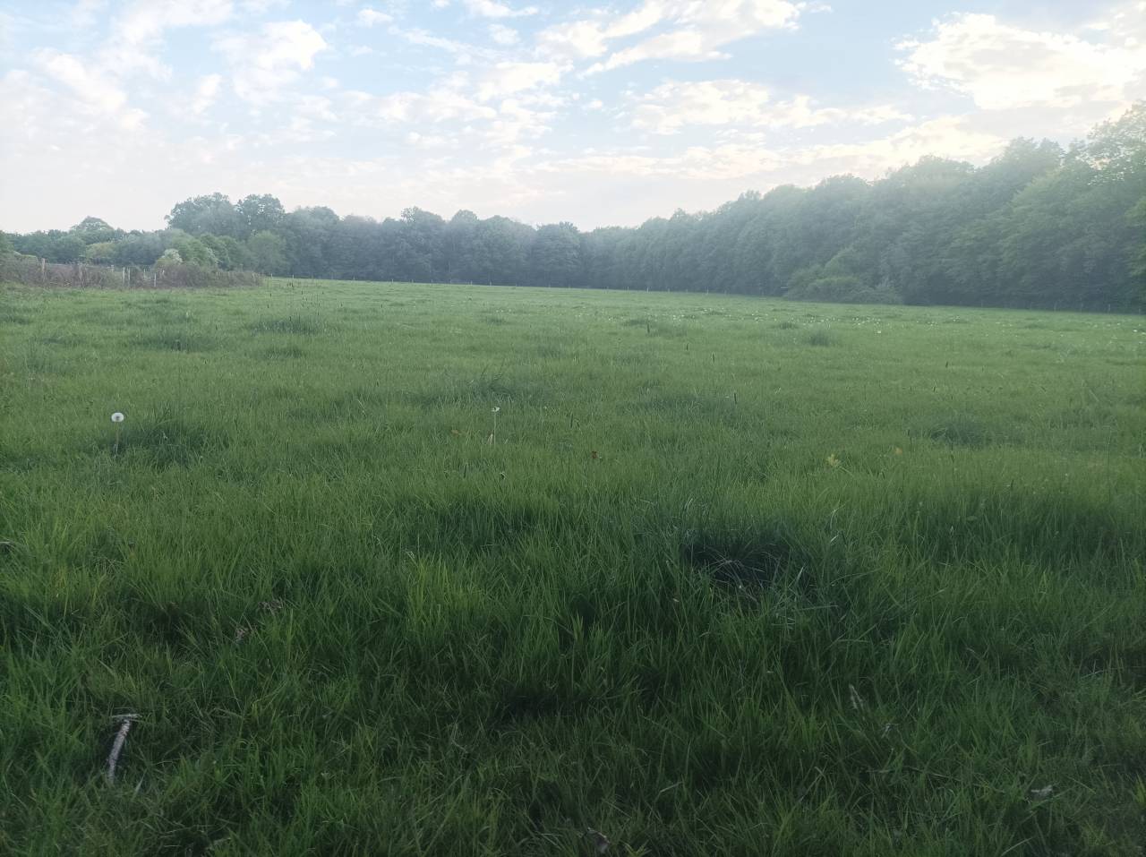Propri&eacute;t&eacute; avec 2 Maisons &eacute;curies  piscine 7,5 hectares