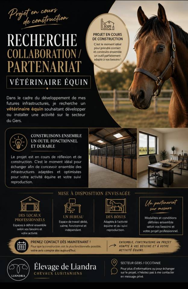 Collaboration V&eacute;tarinaire Equin