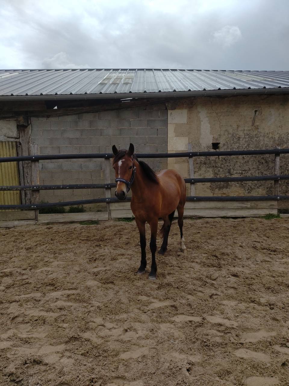 Nouba II Arquetan - 3 ans joli mod&egrave;le